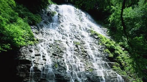 稳定性先进节能